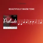 D'addario Prelude bőgőhúr készlet, 1/2 medium