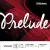 D'addario J811 Prelude hegedűhúr E, 3/4 medium