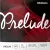 D'addario Prelude hegedűhúr G, 1/2 medium