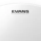 Evans B14UV1 bevonatos pergőbőr 14”