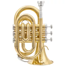 Fontaine MT-500L Zsebtrombita