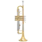 Fontaine TR-601L B-trombita