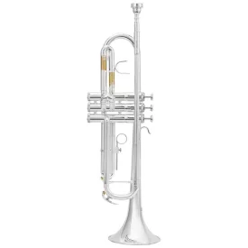 Fontaine TR-601S B-trombita, ezüstözött