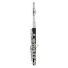 Roy Benson PC-502 piccolo