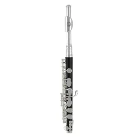 Roy Benson PC-502 piccolo