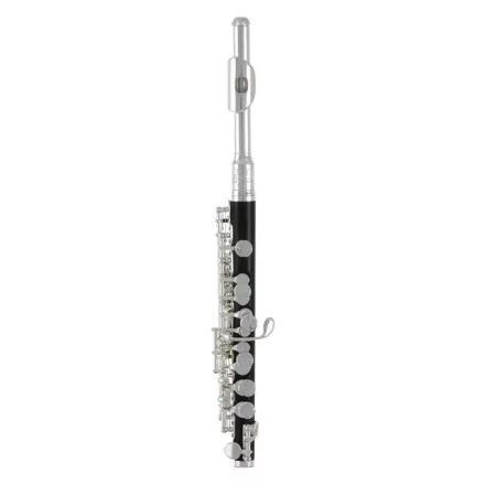 Roy Benson PC-502 piccolo
