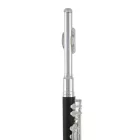 Roy Benson PC-502 piccolo