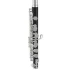 Roy Benson PC-502 piccolo