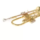 Roy Benson TR-101 trombita