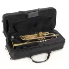 Roy Benson TR-101 trombita