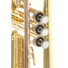Roy Benson TR-101 trombita
