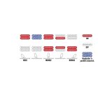 Ibanez RGA42EX-BAM elektromos gitár, Black Aurora Burst