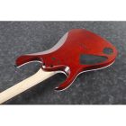 Ibanez RGA42FM-TGF elektromos gitár, Transparent Gray Flat