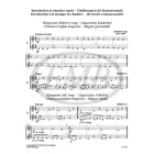 Trombitaduók (Perényi)