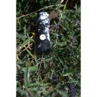 Meinl TDS Sonic Energy Thunder Drum Small vihardob