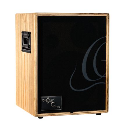 ORTEGA CONE-ASH Erősítő kombó