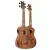 ORTEGA HYDRA-BSTE Dupla nyakú basszus ukulele, tokkal