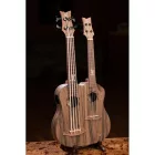 ORTEGA HYDRA-BSTE Dupla nyakú basszus ukulele, tokkal