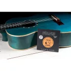 ORTEGA NYS34N klasszikus gitárhúr készlet, 3/4-es méret