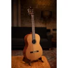 ORTEGA R159 Klasszikus gitár, 4/4-es méret, natúr, tokkal