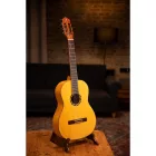 ORTEGA R170F Klasszikus gitár, 4/4-es méret, tokkal