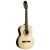 ORTEGA RE158RWSN elektro-klasszikus gitár, tokkal