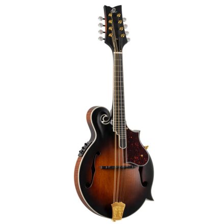 ORTEGA RMFE100AVO Mandolin, tokkal