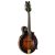 ORTEGA RMFE100AVO Mandolin, tokkal