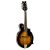 ORTEGA RMFE90TS Mandolin