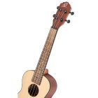 Ortega RU4 koncert ukulele
