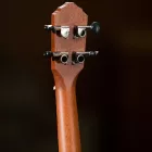 Ortega RU5 koncert ukulele