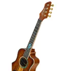 Ortega RUHZ30TH-DO Tenor ukulele
