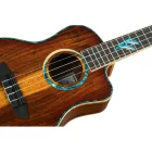Ortega RUHZ30TH-DO Tenor ukulele