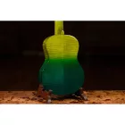 ORTEGA RUPR-IVY Tenor ukulele, tokkal