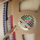 Petrof P173 Breeze zongora, fekete, magasfényű