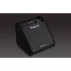 Roland PM-200 dobmonitor