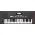 Roland E-X50 kísérőautomatikás billentyűs hangszer
