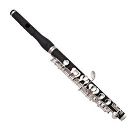 Trevor James 5x piccolo