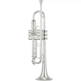 Yamaha YTR-5335GSII B-trombita